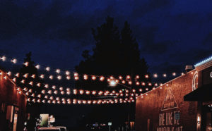 Nights on Ryan @ Ryan Avenue