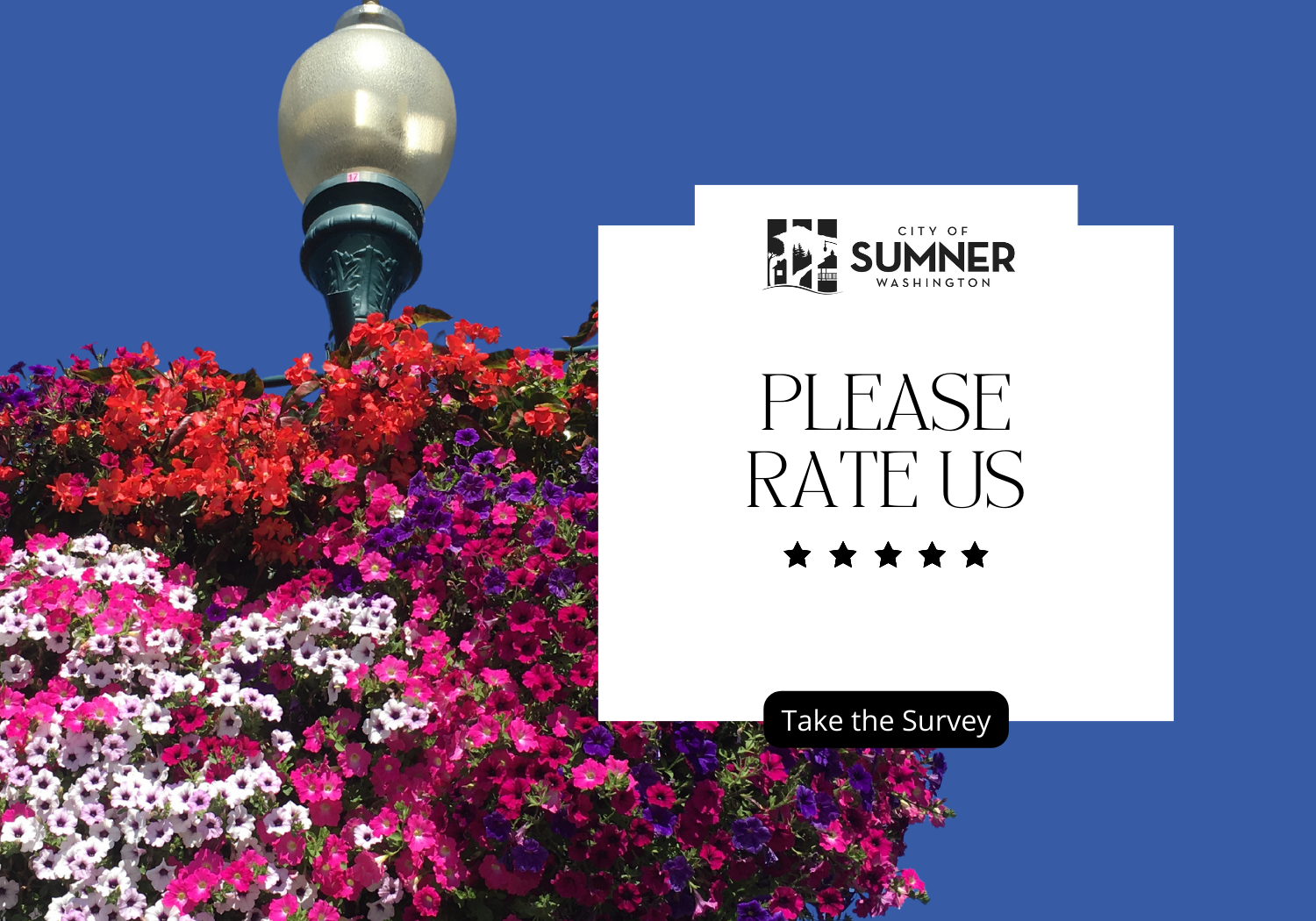 Sumner’s Survey Says