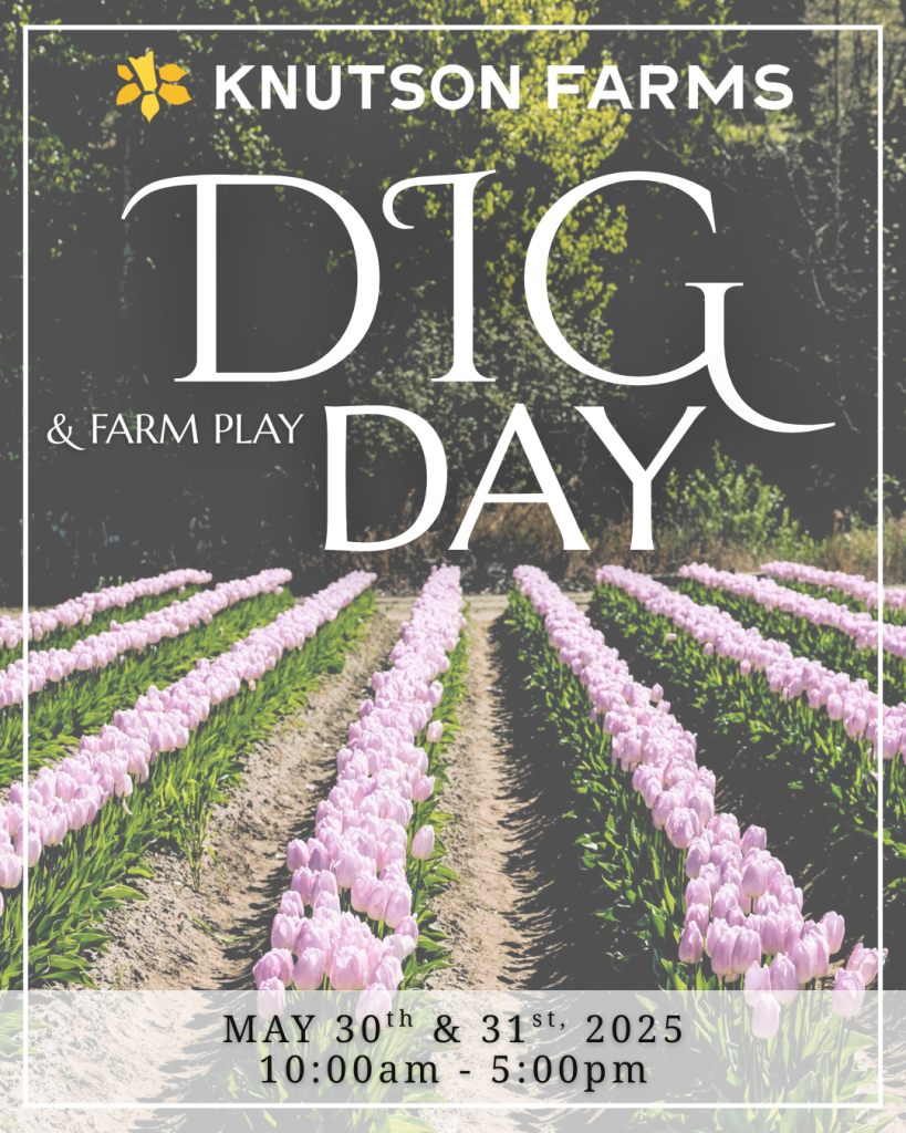 Knutson's Farm DIG DAY 2025