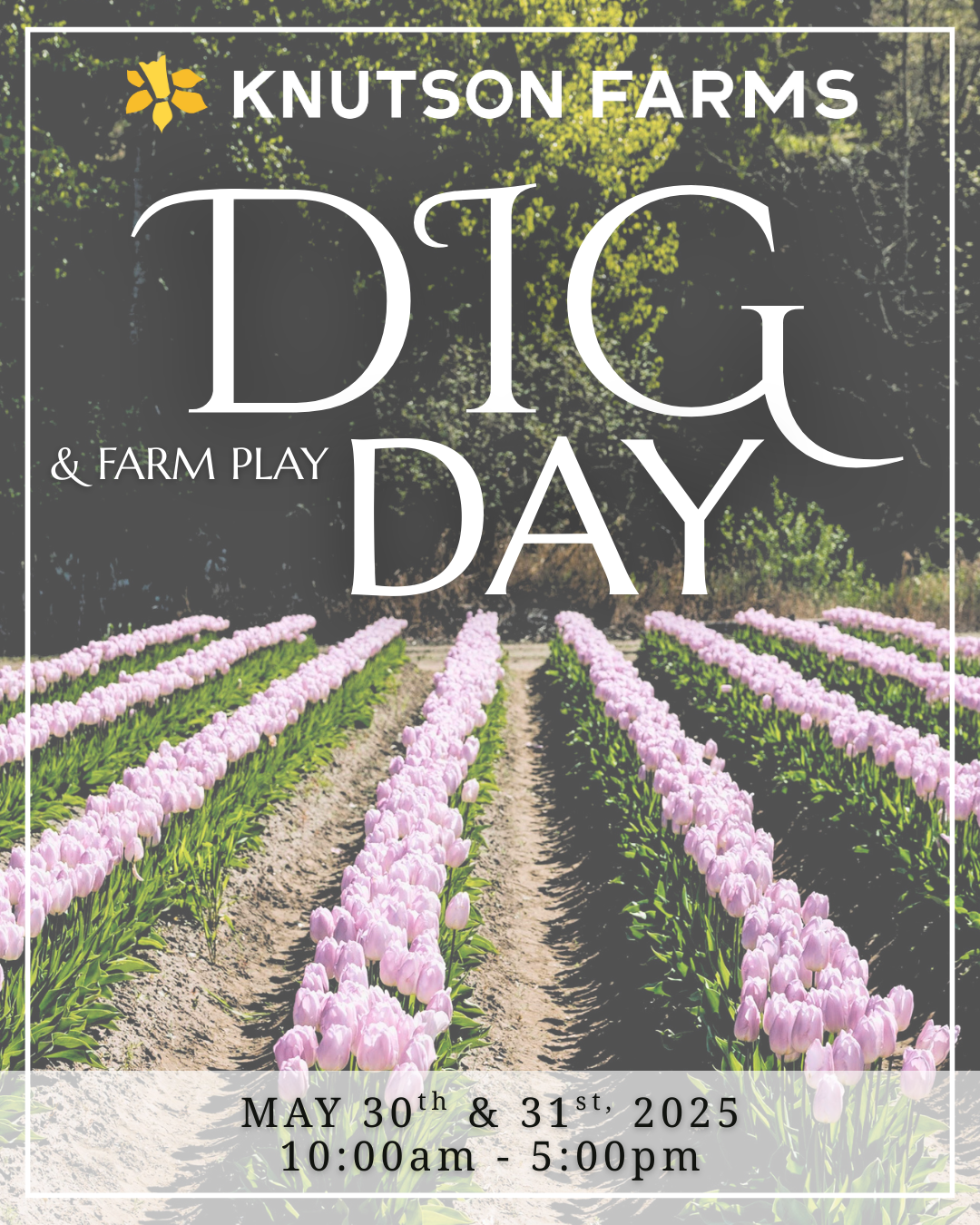 Knutson's Farm DIG DAY 2025