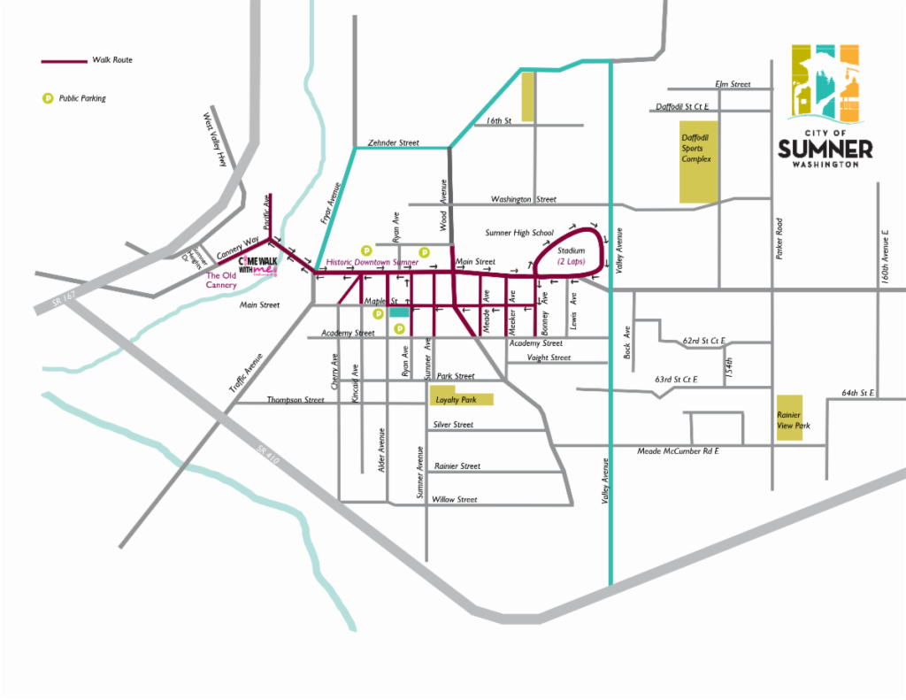 A street map of Sumner, Washington, highlighting a purple walk route. The route begins at The Old Cannery on Cannery Way, travels east along Main Street through Historic Downtown Sumner, loops twice around the Stadium near Sumner High School, and includes several side-street loops between Academy Street and Main Street. Public parking areas are marked with yellow 'P' icons on Ryan Ave, Maple St, and near Main St. Key landmarks shown include Loyalty Park, Daffodil Sports Complex, and Rainier View Park. Major bordering roads include SR 167, SR 410, and Valley Avenue.